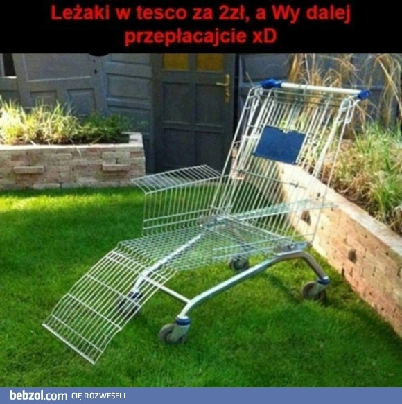 
    Leżak