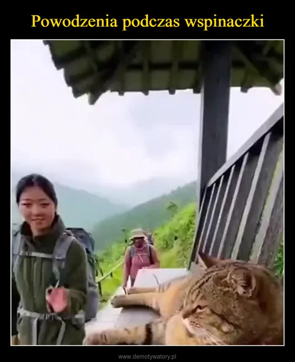 
    Powodzenia podczas wspinaczki