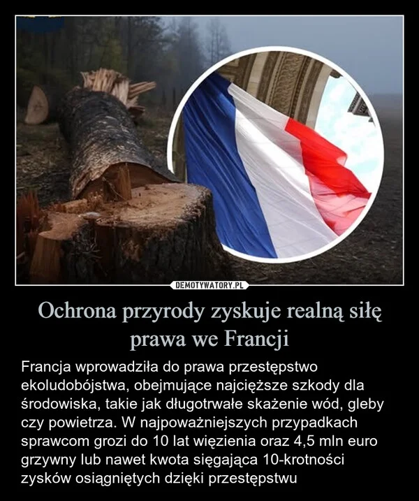 Ochrona przyrody zyskuje realną siłę prawa we Francji