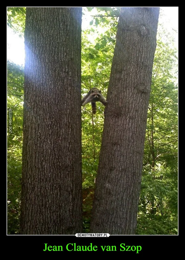 
    Jean Claude van Szop