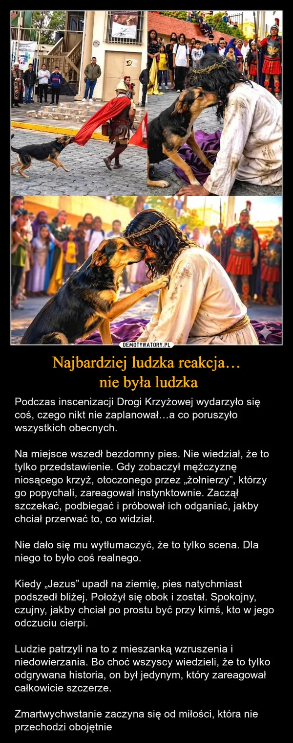 
    Najbardziej ludzka reakcja… nie była ludzka