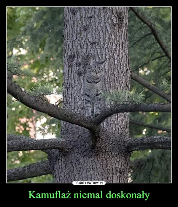 
    Kamuflaż niemal doskonały