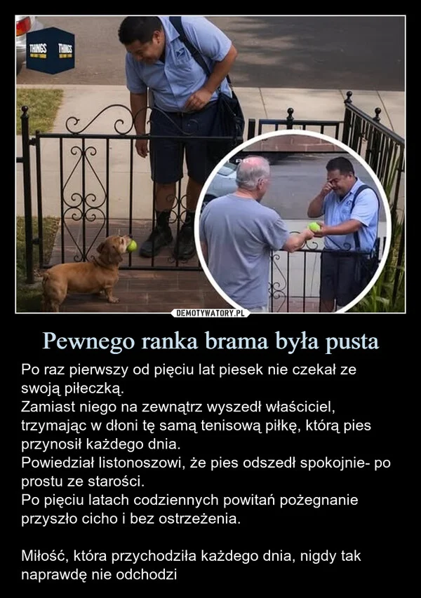 
    Pewnego ranka brama była pusta