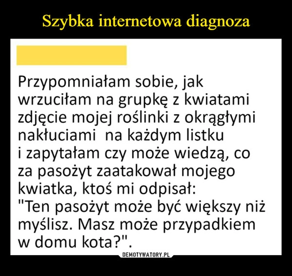 
    Szybka internetowa diagnoza