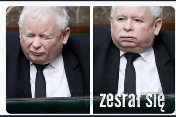 
    Kaczyński - zesrał się