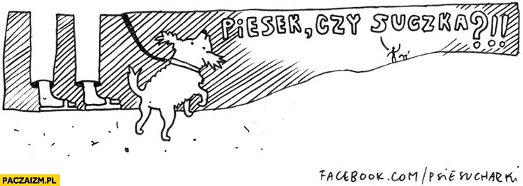 
    Piesek czy suczka? Typowe pytanie na spacerze