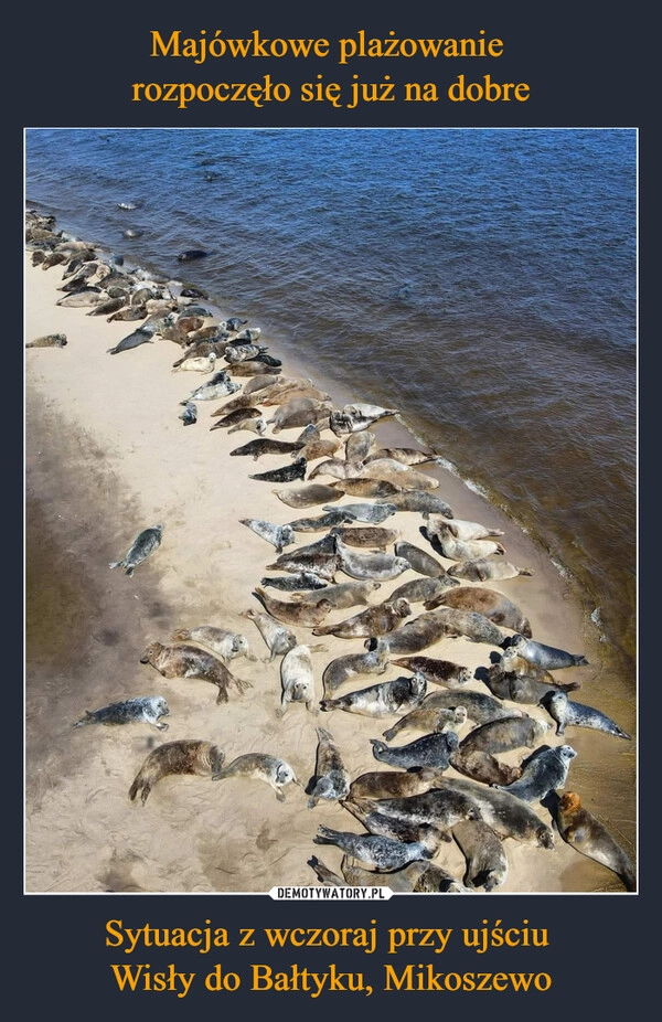 
    Majówkowe plażowanie 
rozpoczęło się już na dobre Sytuacja z wczoraj przy ujściu 
Wisły do Bałtyku, Mikoszewo