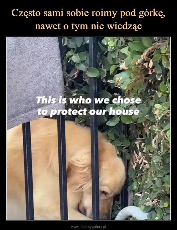 
    Często sami sobie roimy pod górkę, nawet o tym nie wiedząc