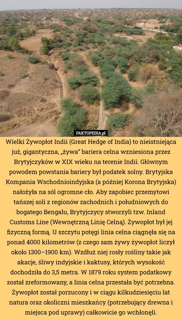 
    Wielki Żywopłot Indii (Great Hedge of India) to nieistniejąca już, gigantyczna,