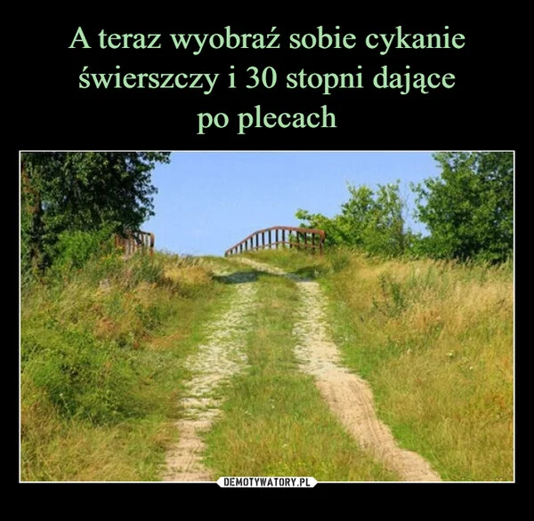 
    A teraz wyobraź sobie cykanie świerszczy i 30 stopni dające po plecach