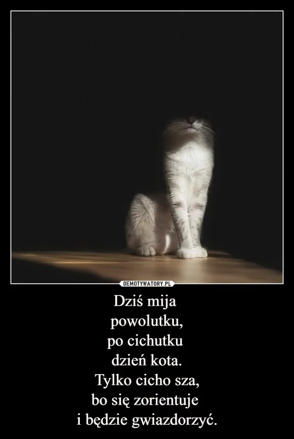 
    Dziś mija powolutku, po cichutku dzień kota. Tylko cicho sza, bo się zorientuje i będzie gwiazdorzyć.