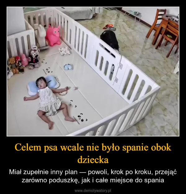 
    Celem psa wcale nie było spanie obok dziecka