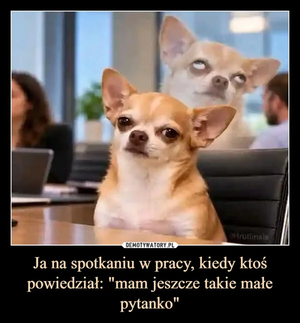 
    Ja na spotkaniu w pracy, kiedy ktoś powiedział: 