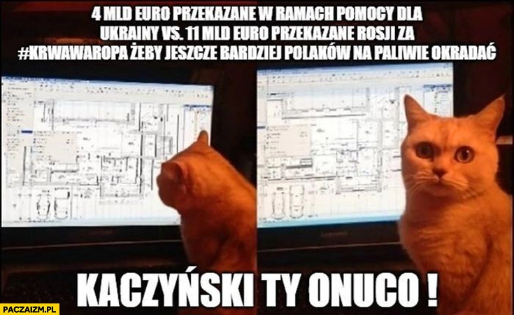 
    4 mld euro przekazane na pomoc Ukrainie vs 11 mld euro przekazane rosji na ropę żeby jeszcze bardziej Polaków na paliwie okradać Kaczyński ty onuco