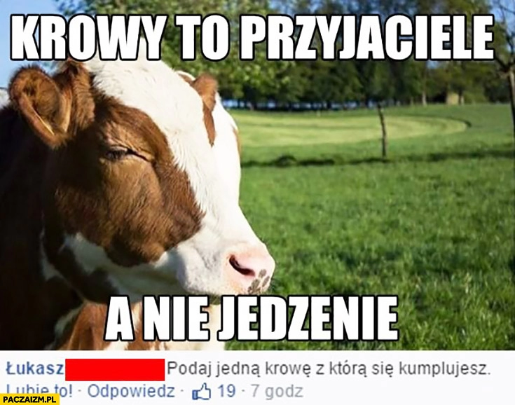 
    Krowy to przyjaciele, a nie jedzenie. Podaj jedna krowę, z którą się kumplujesz