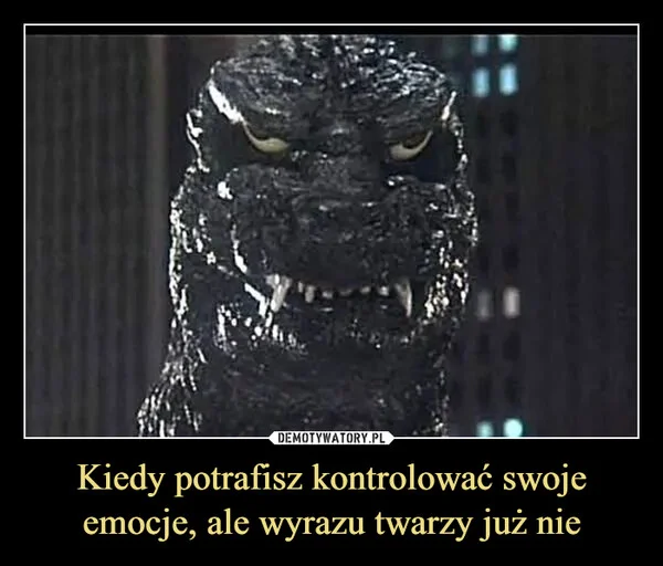 
    Kiedy potrafisz kontrolować swoje emocje, ale wyrazu twarzy już nie