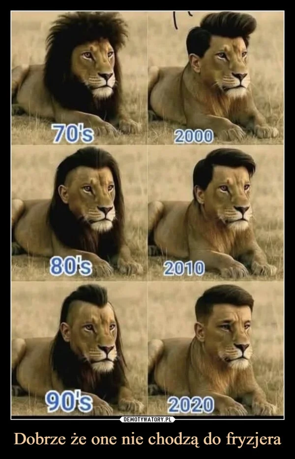 
    Dobrze że one nie chodzą do fryzjera