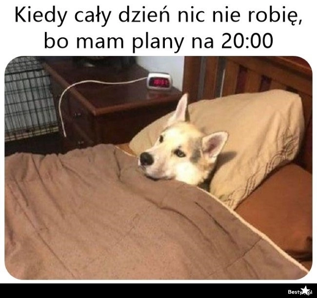 
    Nie opłaca się zaczynać 