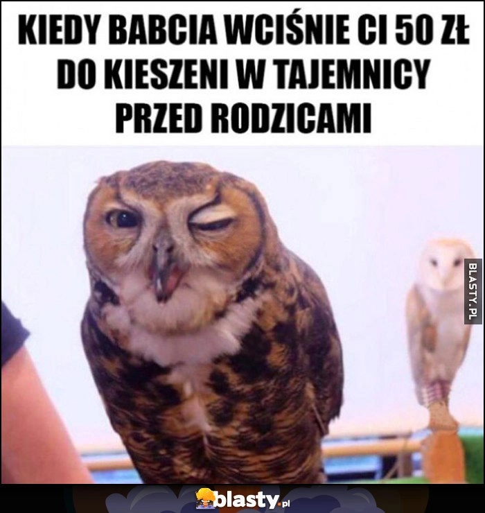 
    Kiedy babcia wciśnie Ci 50 zł do kieszeni w tajemnicy przed rodzicami sowa mruga