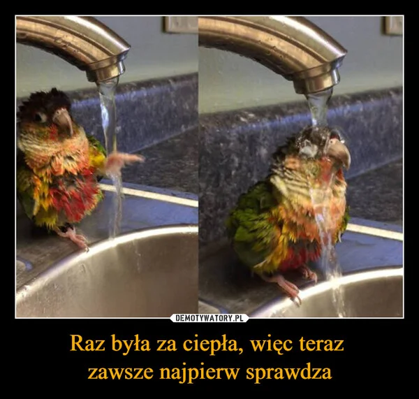 
    Raz była za ciepła, więc teraz zawsze najpierw sprawdza