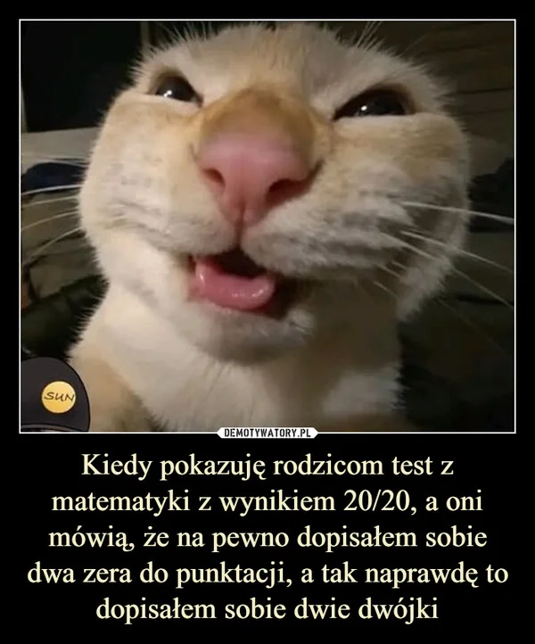 
    Kiedy pokazuję rodzicom test z matematyki z wynikiem 20/20, a oni mówią, że na pewno dopisałem sobie dwa zera do punktacji, a tak naprawdę to dopisałem sobie dwie dwójki