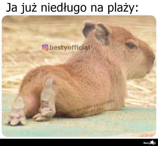 
    Coraz bliżej urlopu 