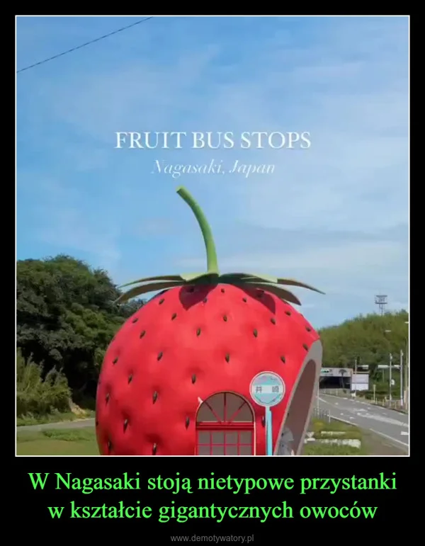 
    W Nagasaki stoją nietypowe przystanki w kształcie gigantycznych owoców