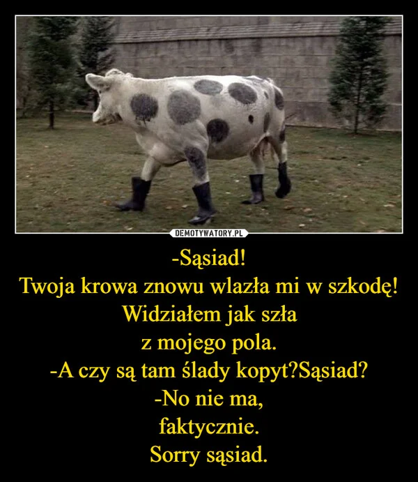 
    -Sąsiad! Twoja krowa znowu wlazła mi w szkodę! Widziałem jak szła z mojego pola. -A czy są tam ślady kopyt?Sąsiad? -No nie ma, faktycznie. Sorry sąsiad.