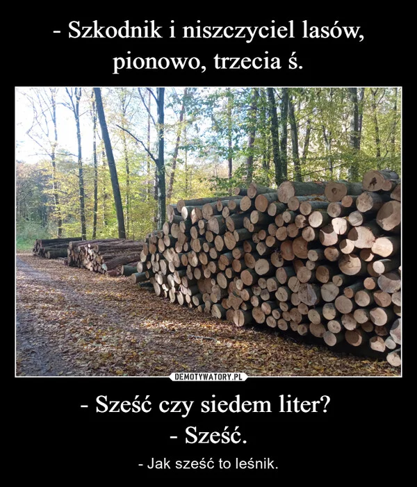 
    - Szkodnik i niszczyciel lasów, pionowo, trzecia ś. - Sześć czy siedem liter? - Sześć.