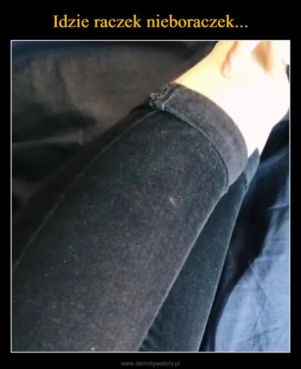 
    Idzie raczek nieboraczek...