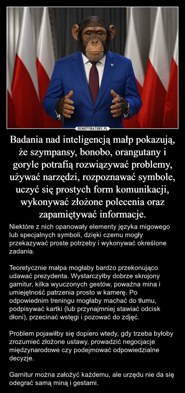 
    Badania nad inteligencją małp pokazują, że szympansy, bonobo, orangutany i goryle potrafią rozwiązywać problemy, używać narzędzi, rozpoznawać symbole, uczyć się prostych form komunikacji, wykonywać złożone polecenia oraz zapamiętywać informacje.