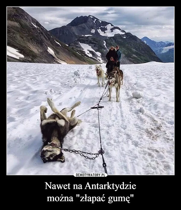
    Nawet na Antarktydzie można 
