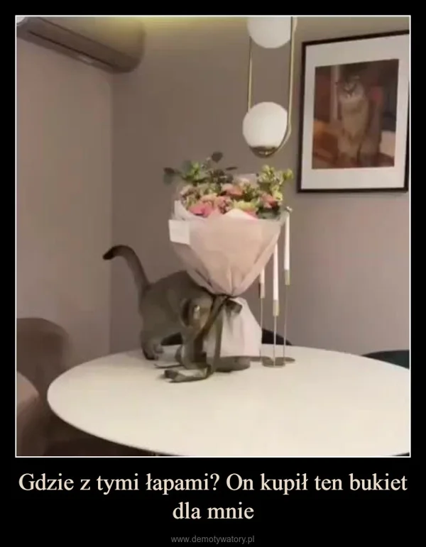 
    Gdzie z tymi łapami? On kupił ten bukiet dla mnie