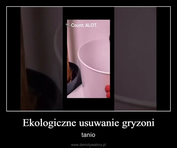 
    Ekologiczne usuwanie gryzoni