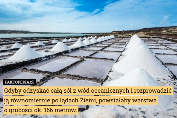 
    Gdyby odzyskać całą sól z wód oceanicznych i rozprowadzić ją równomiernie...