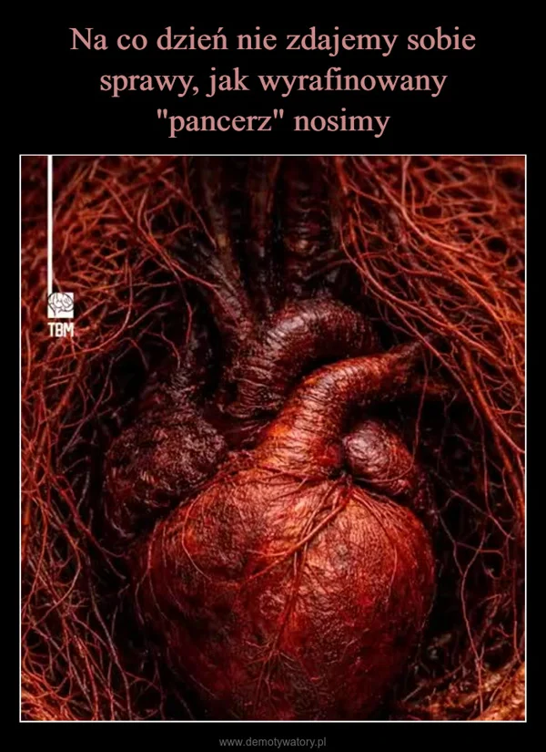 
    Na co dzień nie zdajemy sobie sprawy, jak wyrafinowany 