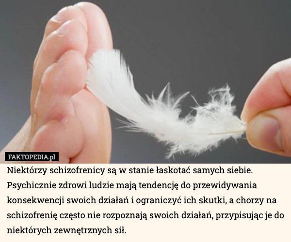 
    Niektórzy schizofrenicy są w stanie łaskotać samych siebie. Psychicznie