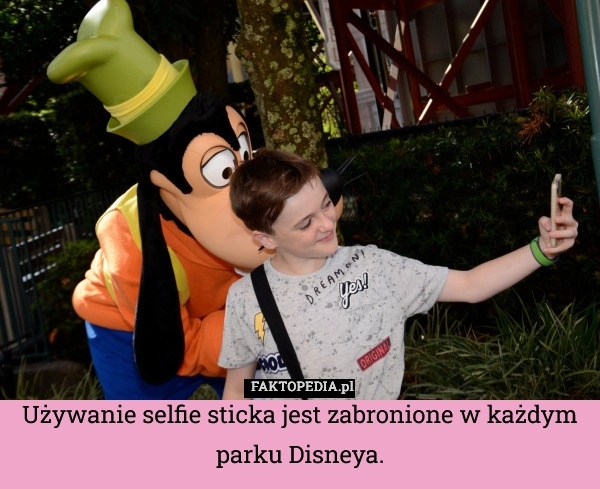 
    Używanie selfie sticka jest zabronione w każdym parku Disneya.