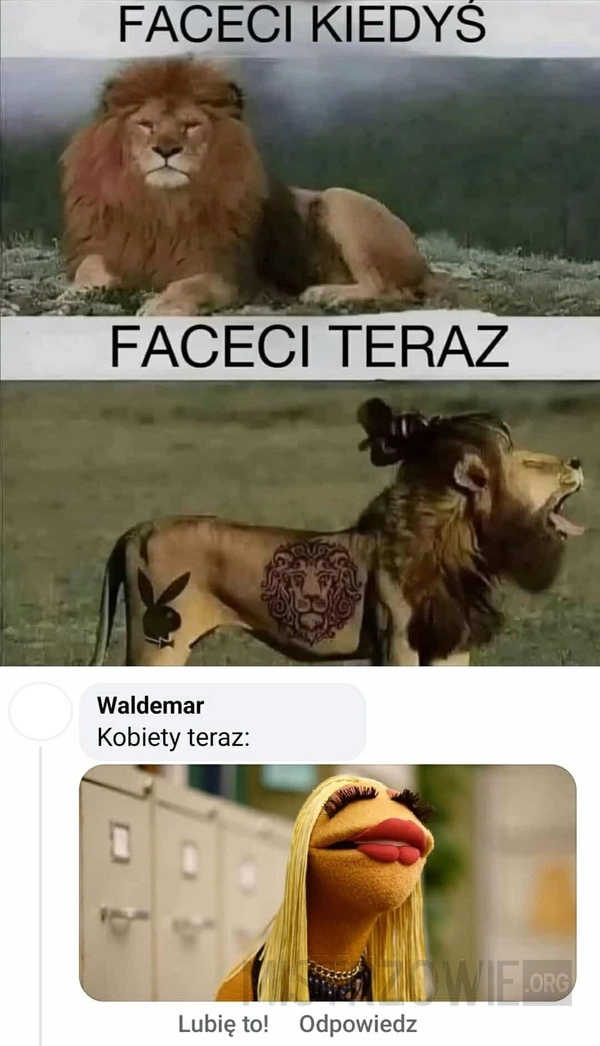 
    Faceci vs. kobiety