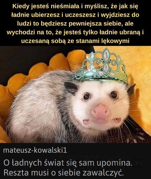 
    Kiedy jesteś nieśmiała...