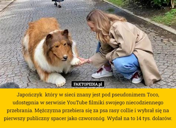 
    Japończyk  który w sieci znany jest pod pseudonimem Toco, udostępnia w serwisie