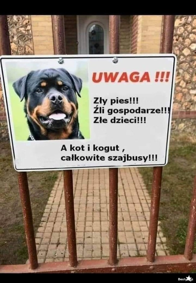 
    Świetne 