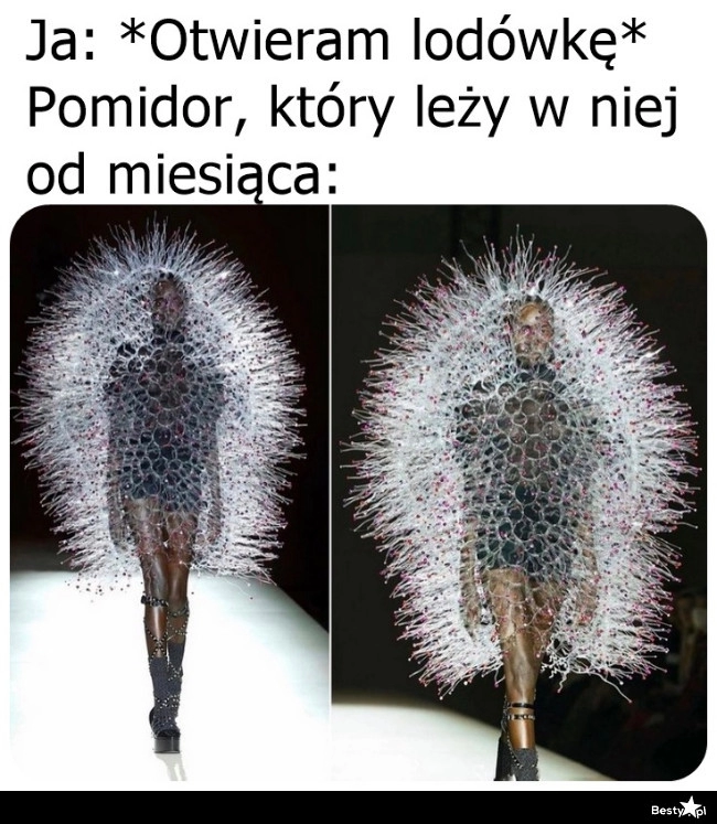 
    Moda inspirowana pleśnią 