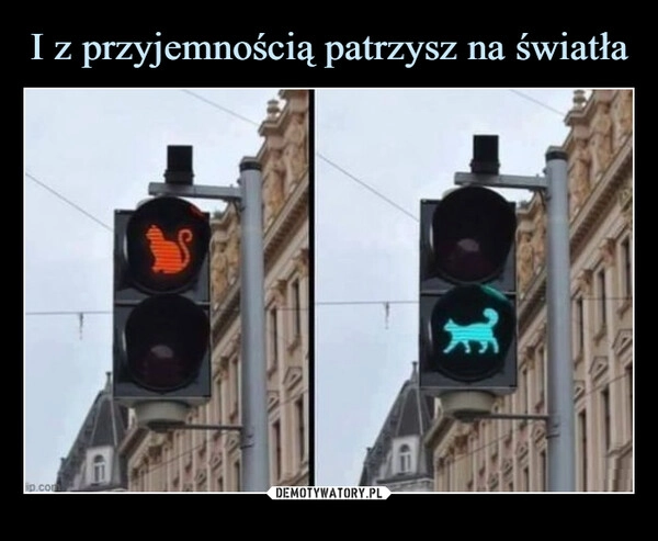 
    I z przyjemnością patrzysz na światła