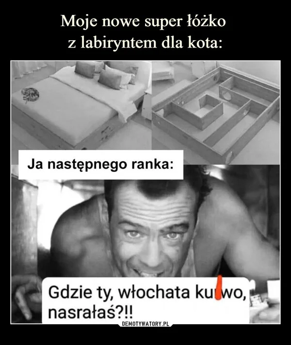 Moje nowe super łóżko z labiryntem dla kota: