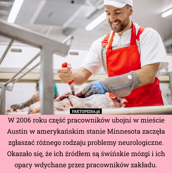 
    W 2006 roku część pracowników ubojni w mieście Austin w amerykańskim stanie