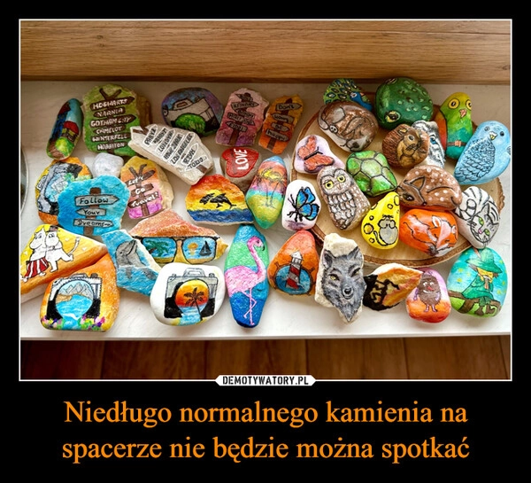 
    Niedługo normalnego kamienia na spacerze nie będzie można spotkać