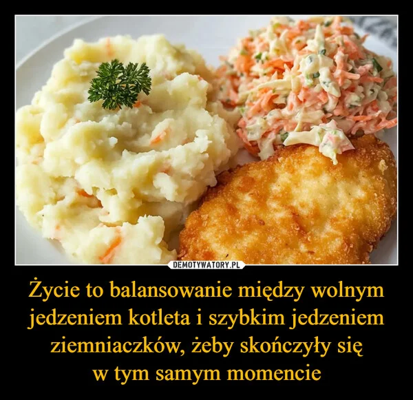 
    Życie to balansowanie między wolnym jedzeniem kotleta i szybkim jedzeniem ziemniaczków, żeby skończyły się w tym samym momencie