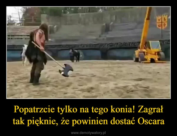 
    Popatrzcie tylko na tego konia! Zagrał tak pięknie, że powinien dostać Oscara