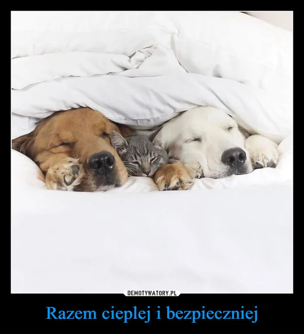 
    Razem cieplej i bezpieczniej